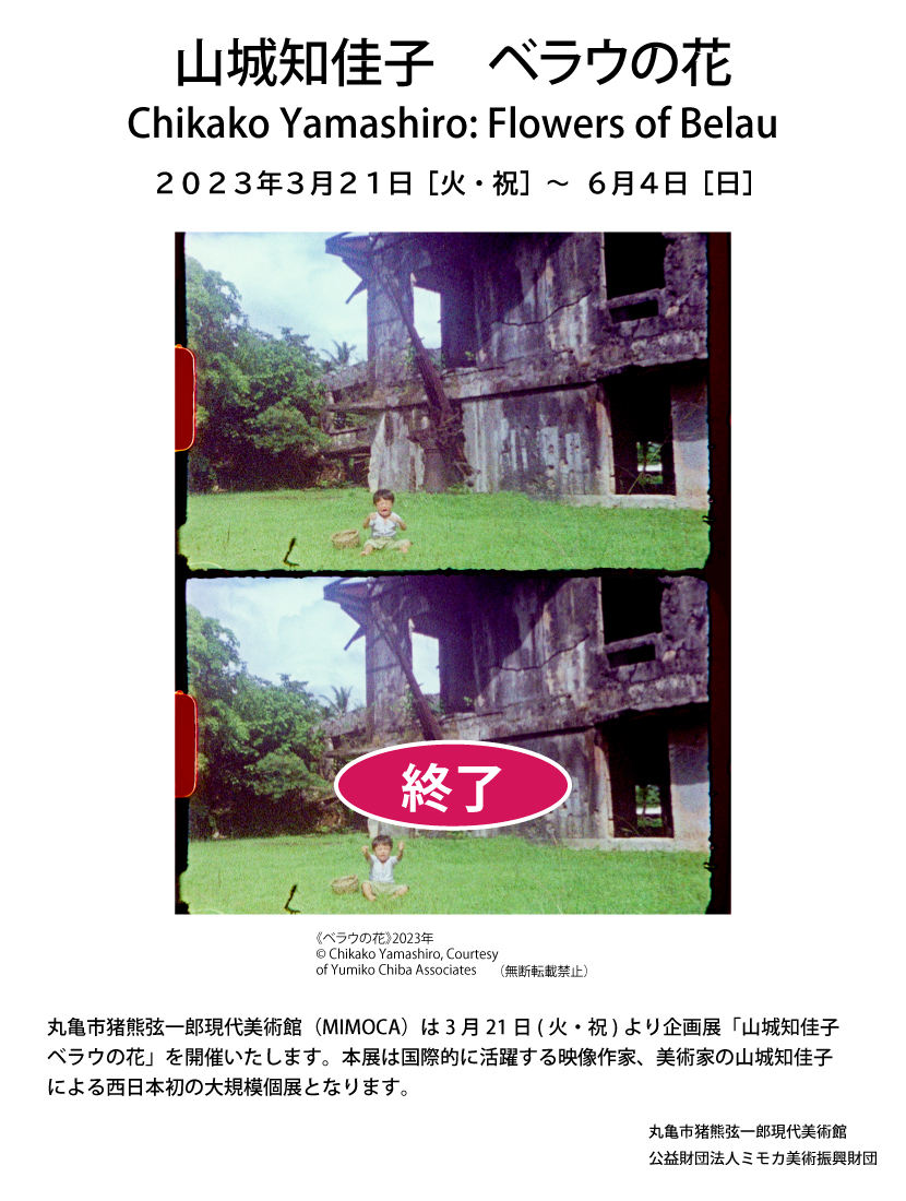 山城知佳子　ベラウの花