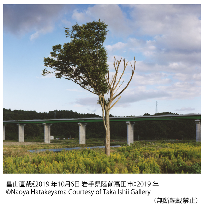 畠山直哉　2019年