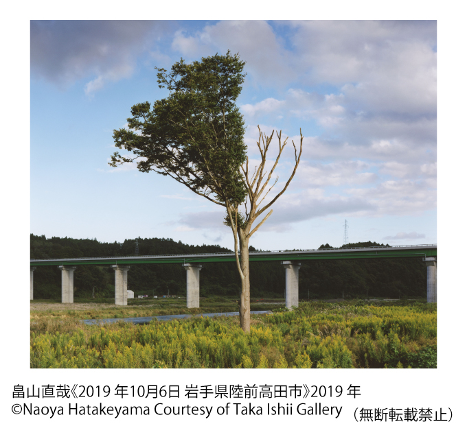 畠山直哉《2019 年10月6日 岩手県陸前高田市》2019 年