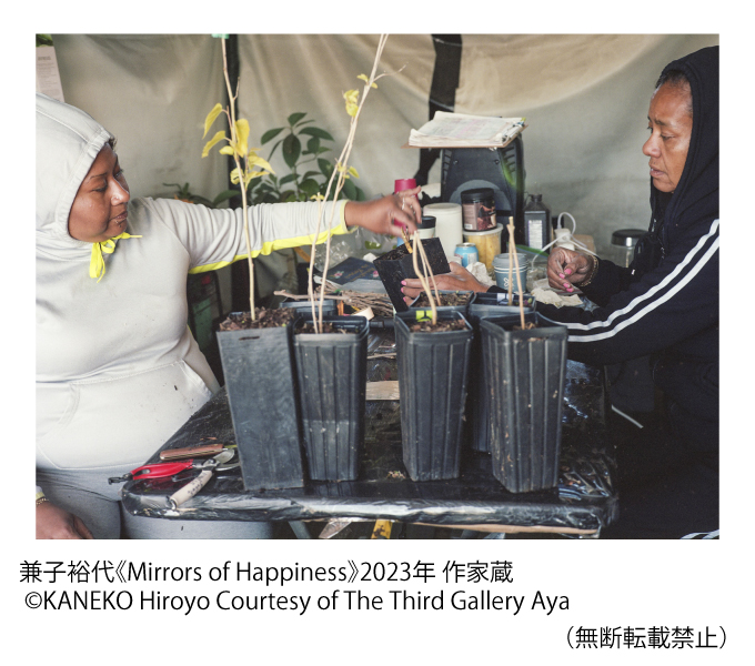 兼子裕代《Mirrors of Happiness》2023年 作家蔵