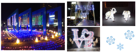 冬の街にイルミネーションが輝く・写真